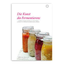 Kursflyer Rohkost (Richtig Fermentieren)