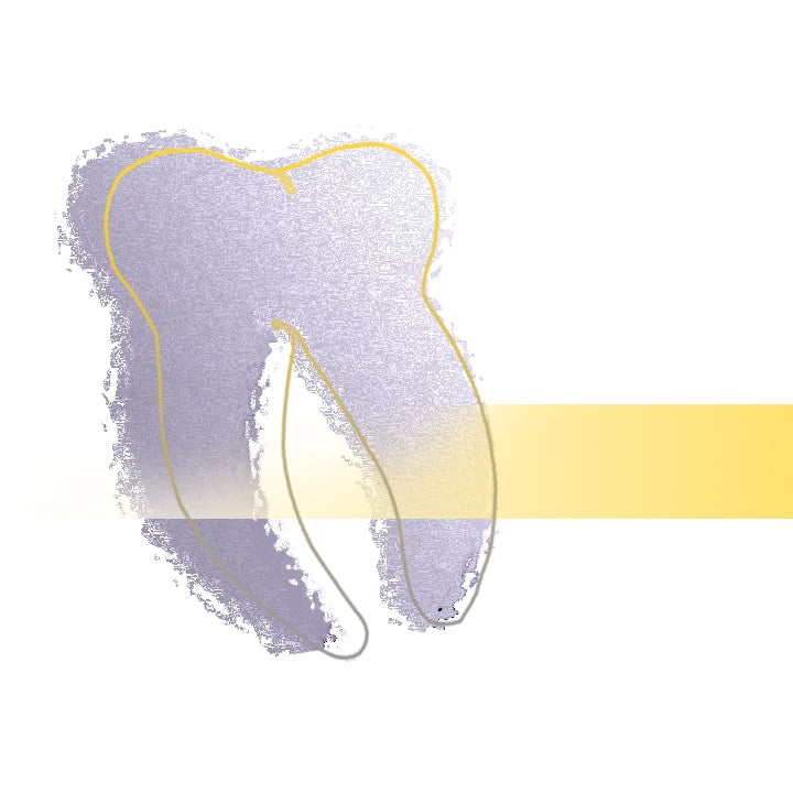 Logo Dental Labor