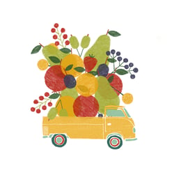 fruit car