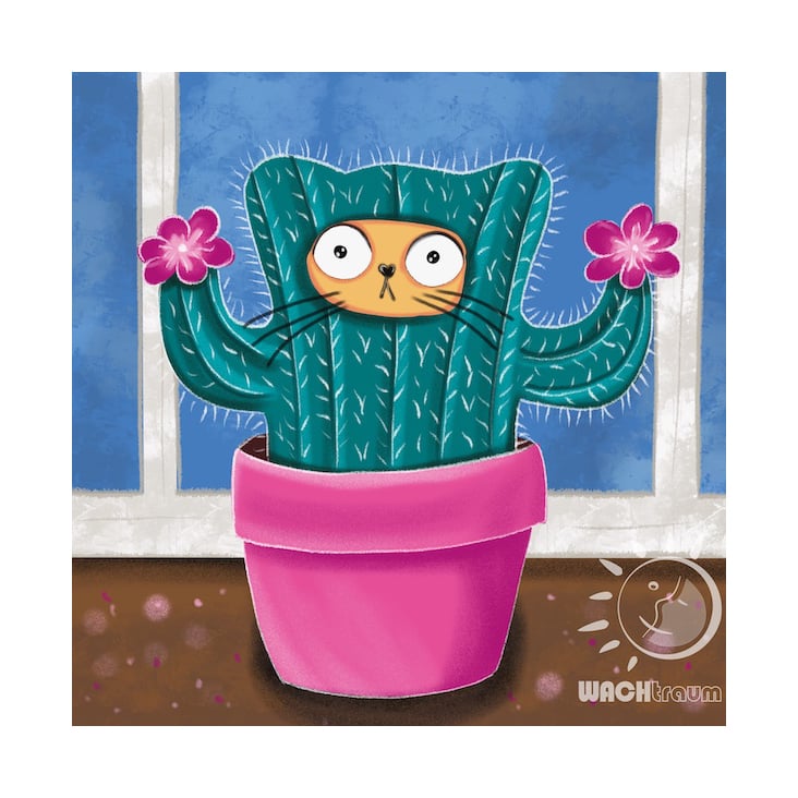Catcus