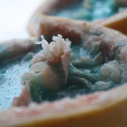 blue grapefruit
