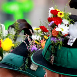 blumenschmuck