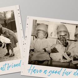 Postcards