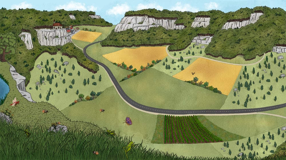 Landschaft zum Thema Biodiversität (Schwäbische Alb)