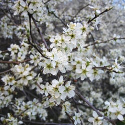 Photo-Series „White“ (2)