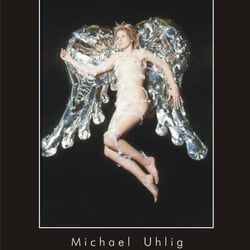 Silberengelflügel von Michael Uhlig