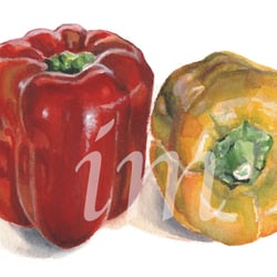 Paprika, Aquarell auf Papier