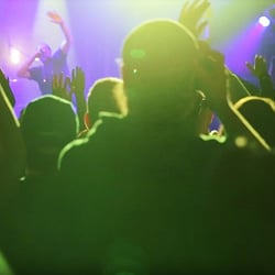 Ramba zamba Festival