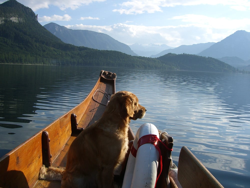 sommerurlaub aussee 2006 059