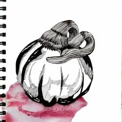 DAY 06