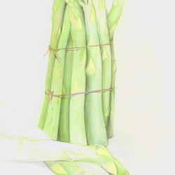 Gemüse_2