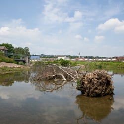 Die Ruhr bei Wickede
