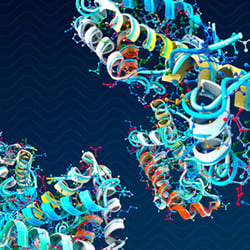 | Cb3D | Medizin