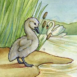 schwan