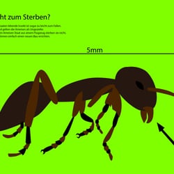 UNSTERBLICH nur beim springen AKA fallen