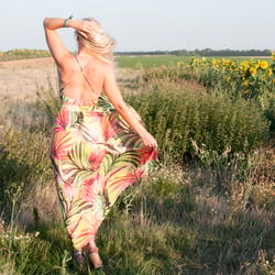 Summer Breeze