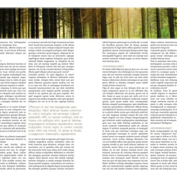 Mustermagazin „Architektur“