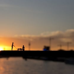 My summer of love – make love not war – the famous sundowner