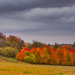 Herbstpanorama