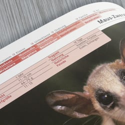 Sachbücher (Tierlexikon)