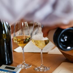 Spay 25 Mosel