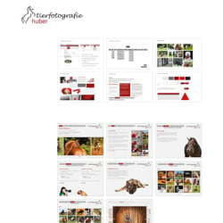 Online – Webkonzeption, Lehrauftrag