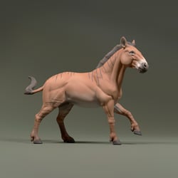 Hipparion Stallion