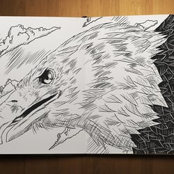 Sketchbook – Eagle