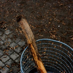 Stock