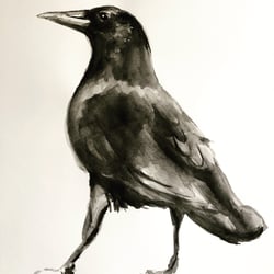 Crow.