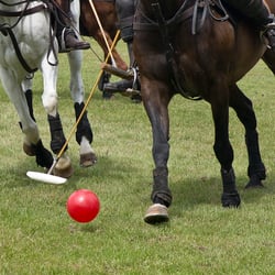 polo bs kl 14