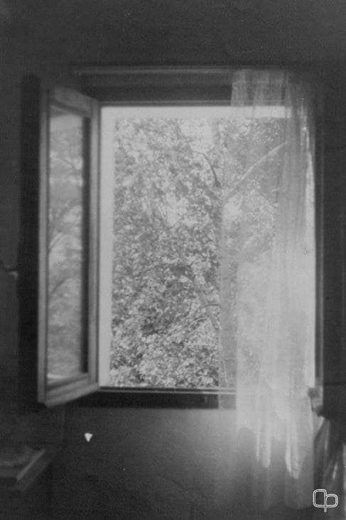 ANALOG I