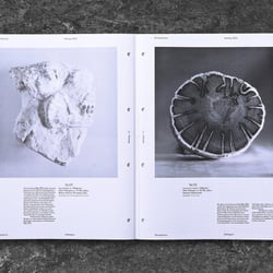 DasAuge-Praehistorica Katalog2