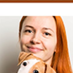 Urban Dogs – Webdesign, Social Media