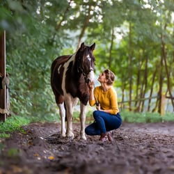 Ponyhof