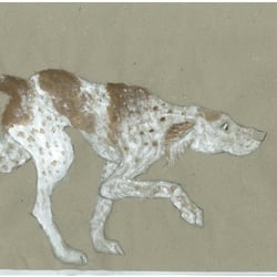 Schleich…!
