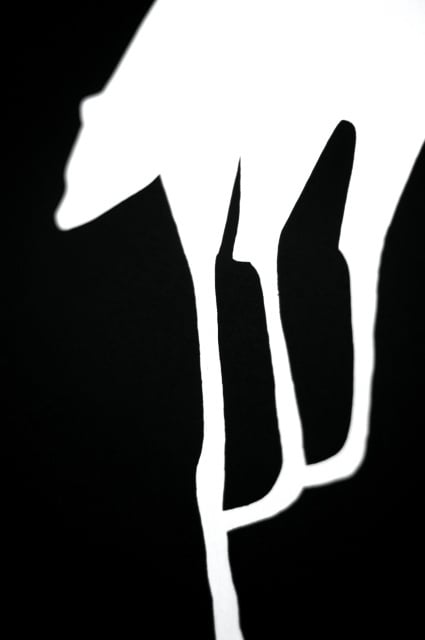 Detail