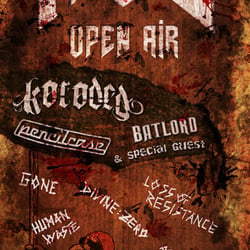 AUE Open Air Flyer 2013 Front