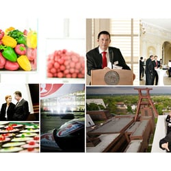 Portfolio digitoxic 16