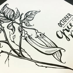 VerenaFaeth GreenBeans Ink