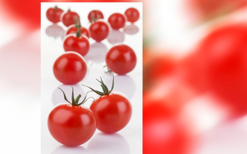 tomaten-studio-still-life-19