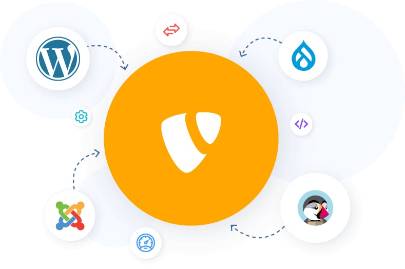 Our Portfolio