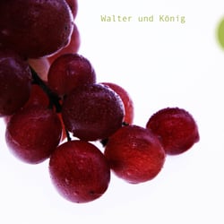 Pergel2