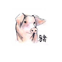 Schweinchen