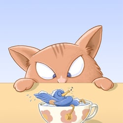 katze96