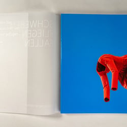 Covermotiv: Anja Luithle, Vornüber