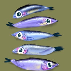 weniger Sardinen