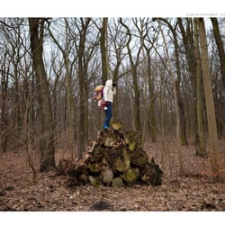 A day in the forest. Client: DODO Magazine