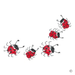 Marienkäfer