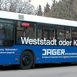 schwalbenfisch jaegerreisen-5